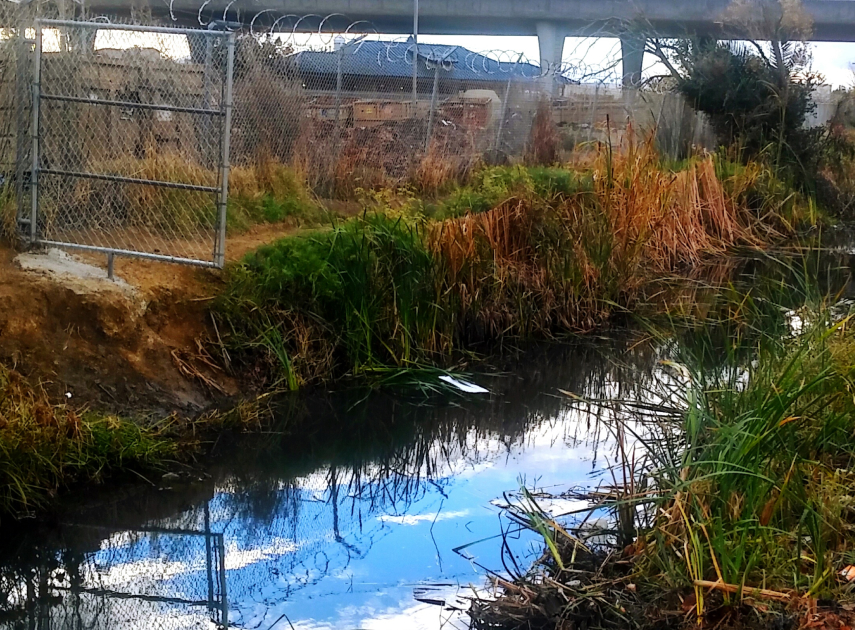 Primary & Boarding School